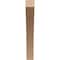 Ekena Millwork 3-inch W x 16-inch D x 22-inch H Thorton Rough Cedar Woodgrain TimberThane Knee Brace, Primed BRCUR03X16X22THRRCPR - alternate 3